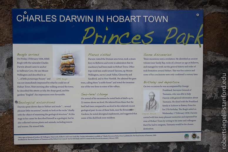 darwin in hobart